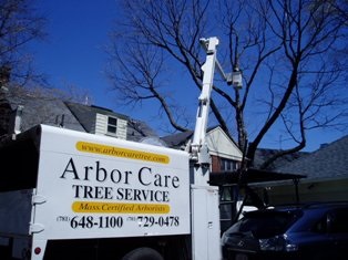 Arbor Care Tree Pruning | Winchester MA